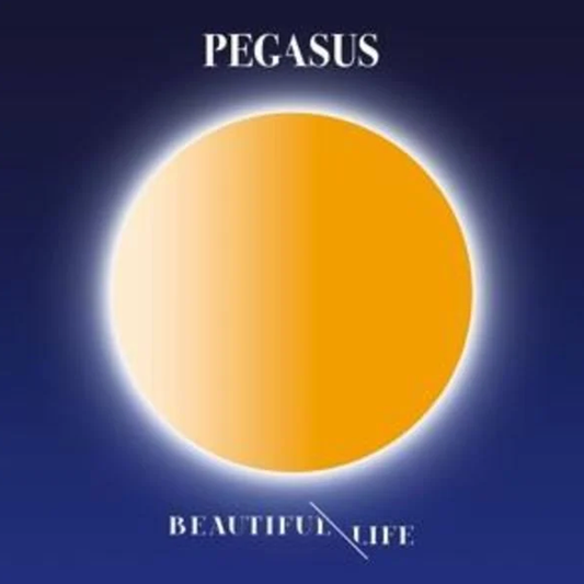 Beautiful Life - CD