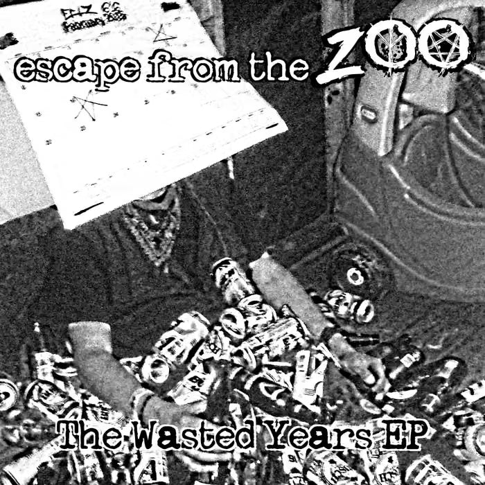 The Wasted Years - Vinyl