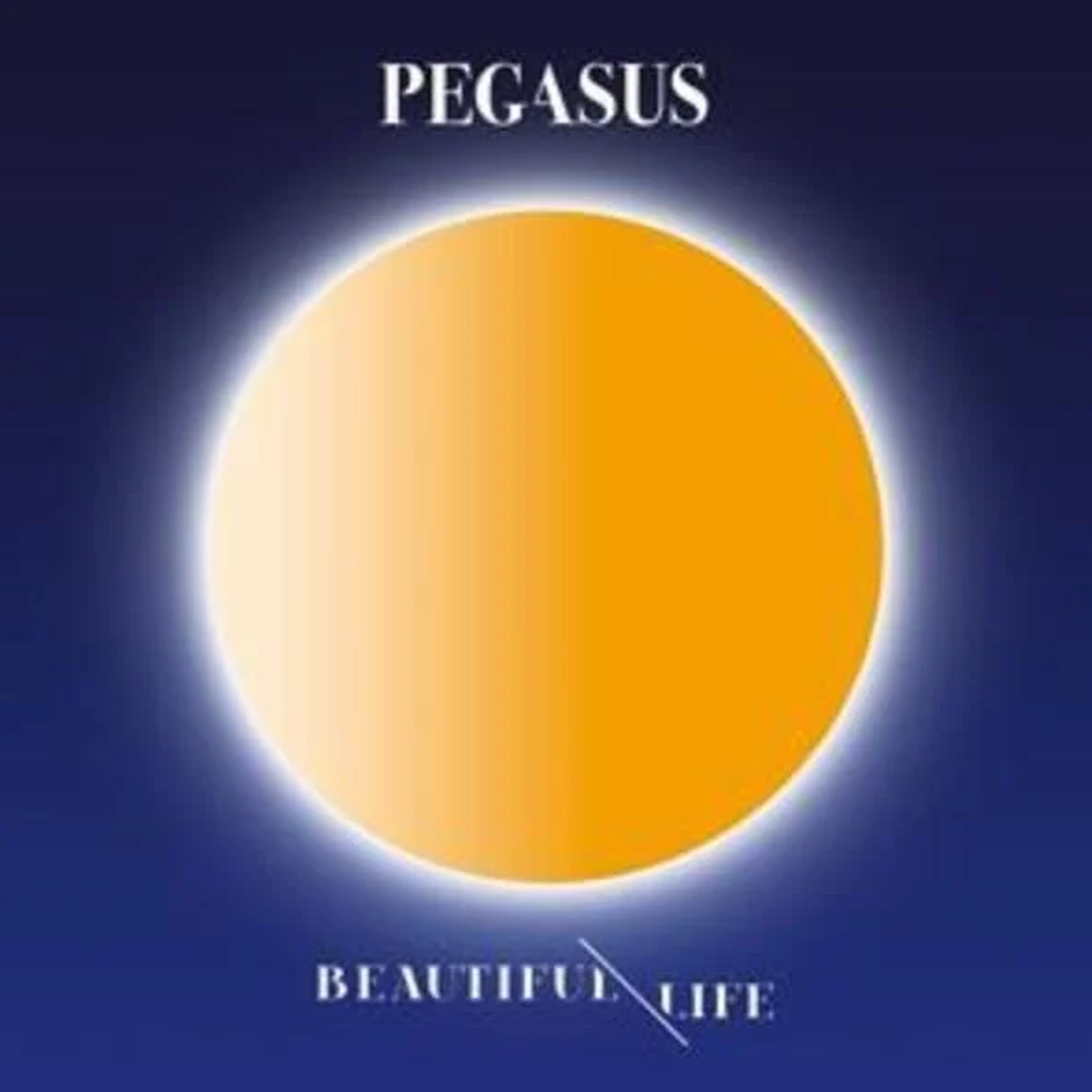 Beautiful Life - CD – Mercharsenal-Europe